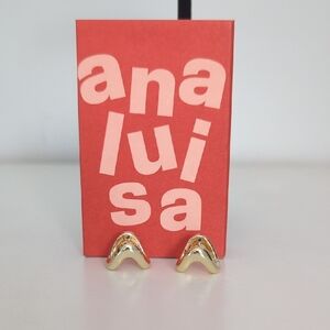 Ana Luisa Huggie Gold Earrings 14k Plated